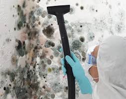 Forensic Mold Investigation in Seffner, FL